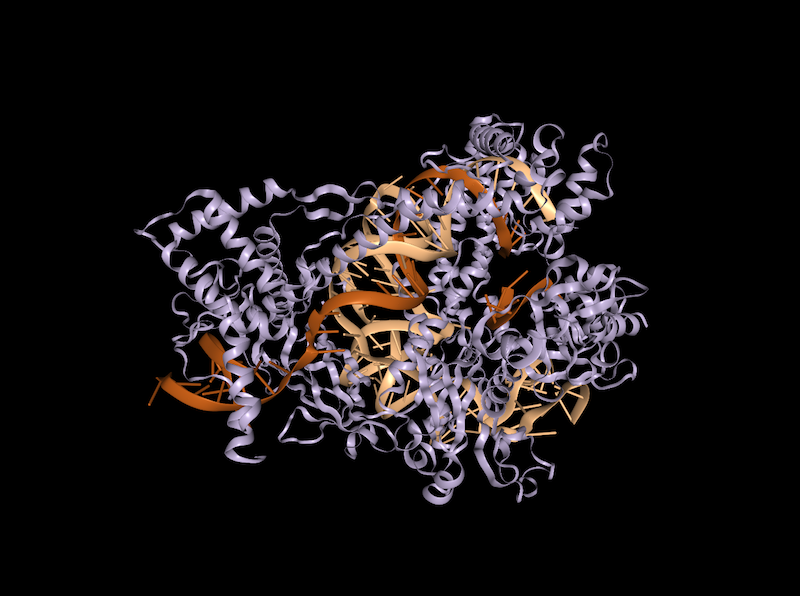 Structure of Cas12b bound to RNA