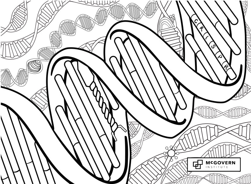 Line art showing strands of DNA and the McGovern Institute logo.