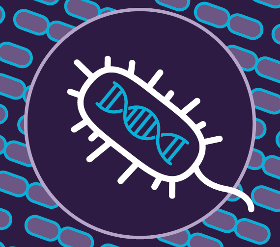 Illlustration of a microbe containing DNA.