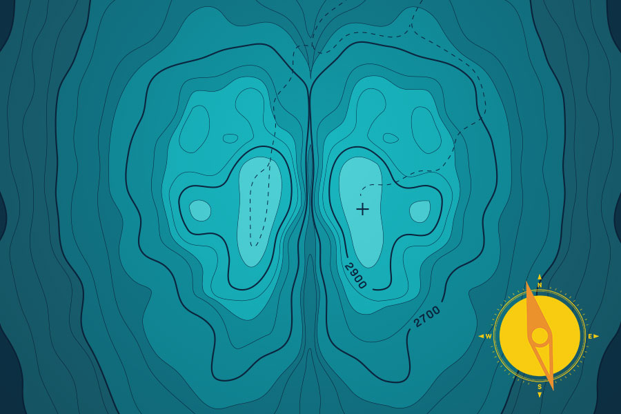 Artistic rendering of a topographic map of the human brain with a compass in bottom right corner.